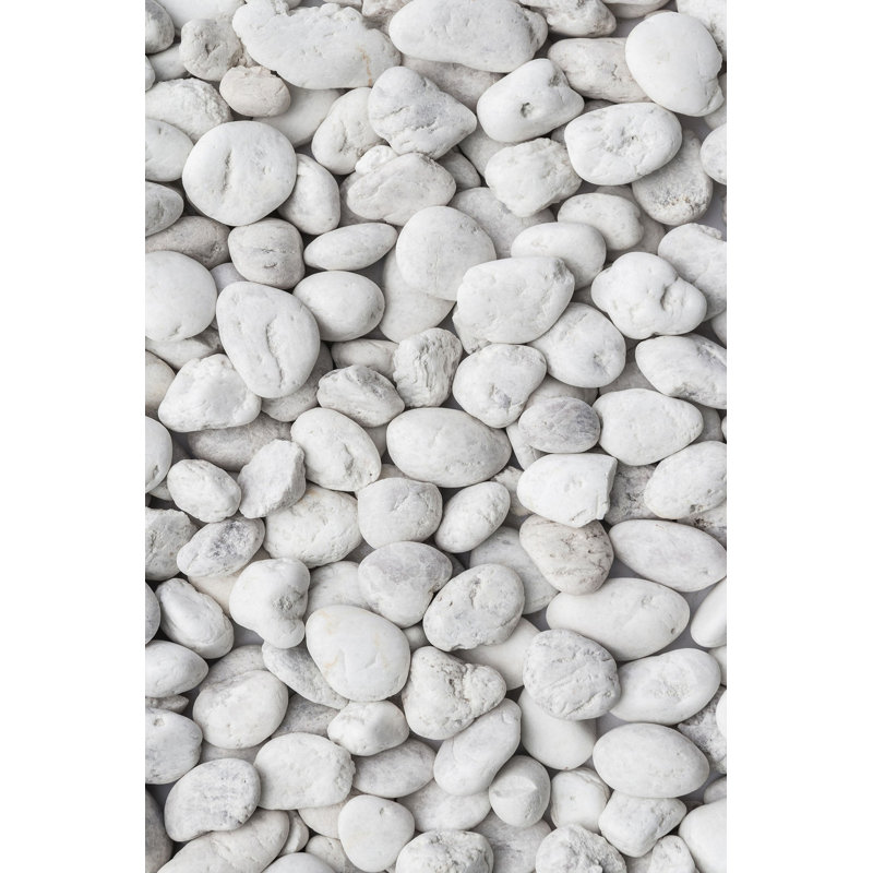 Soft & Durable Area Rug, 5.2 x 7.5 Feet, 100% Polyester, 650 g/m², 0.3 in Pile Height | Non-Slip PVC Dot Underside | Machine Washable, 3D Digital Print | Perfect for Living Room, Bedroom & Office Decor