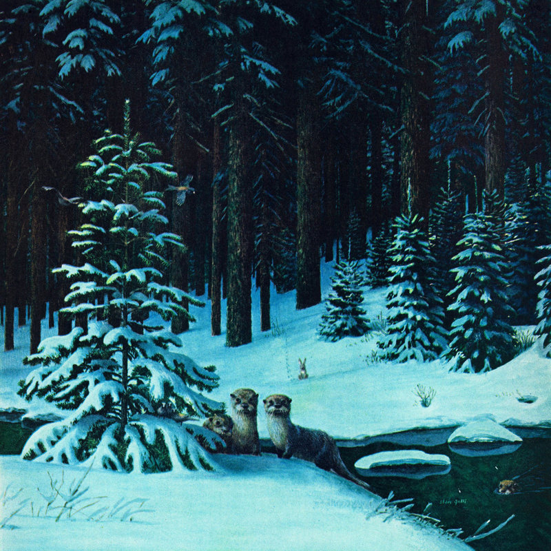 Wrapped Canvas Print, 61cm H x 61cm W x 3.81cm D