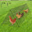 Tunnels pour poulets Tucker Murphy Pet ™, tunnels pour poulets 287 x 78,7 x 24,2 pouces (L x l x H)-999853240