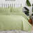 Coin Sage Green