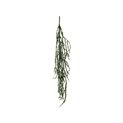 Faux cactus, vert