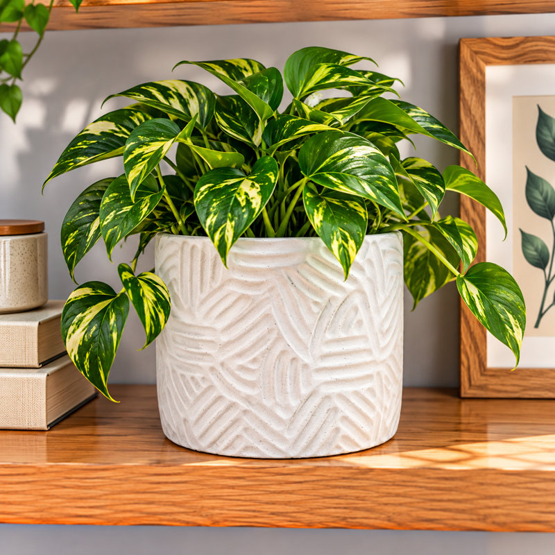 Patterned Lines Design Pot, White