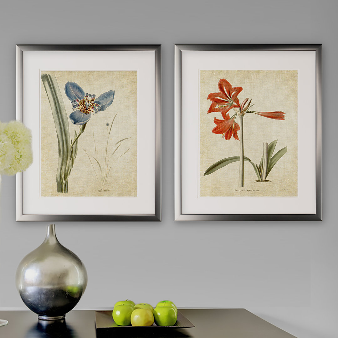 " Vintage Botanical Sketch I " 2 - Pieces Alcott Hill® 