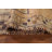 Antique Traditional Runner Rug 4x11