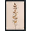 Farm Branch II - Peinture-429495378-429495369