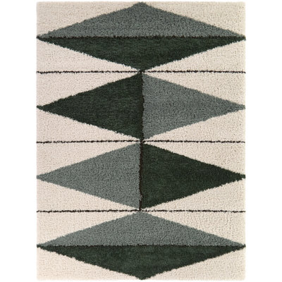 Tapis vert à poils longs Rachal