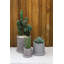 Planter