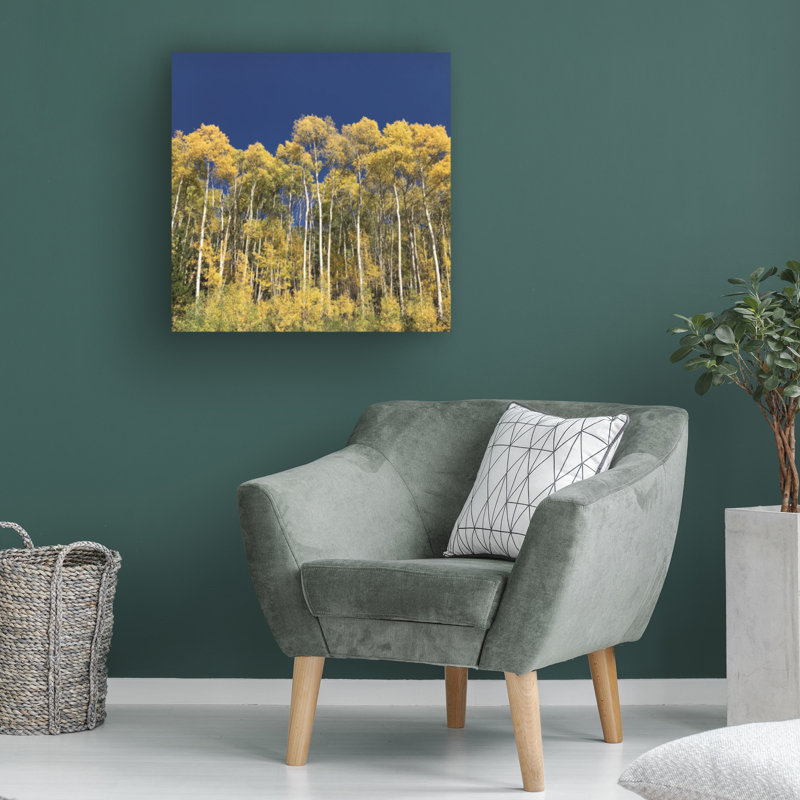 Art sur toile, Colonie Kent, H 14 po x l 14 po