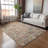 Machine Washable Indoor/Outdoor Kadyn ACN2227 Panel Rug-2081453026
