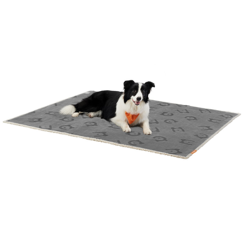 Dog Blankets