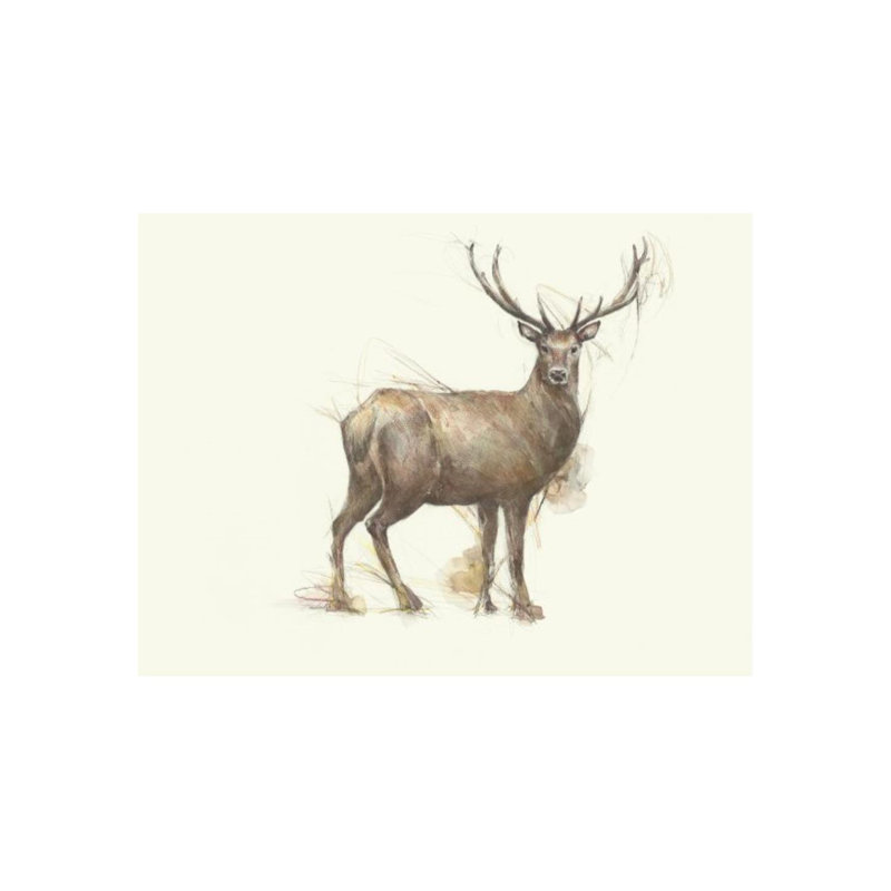 «Forest Morning III» par Sara Brown - impression, H 30 po x l 40 po x P 1,5 po, Couche de verre