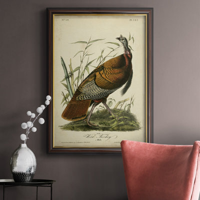 " Audubon Wild Turkey " Painting Print