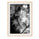 Japanese Maple Print 