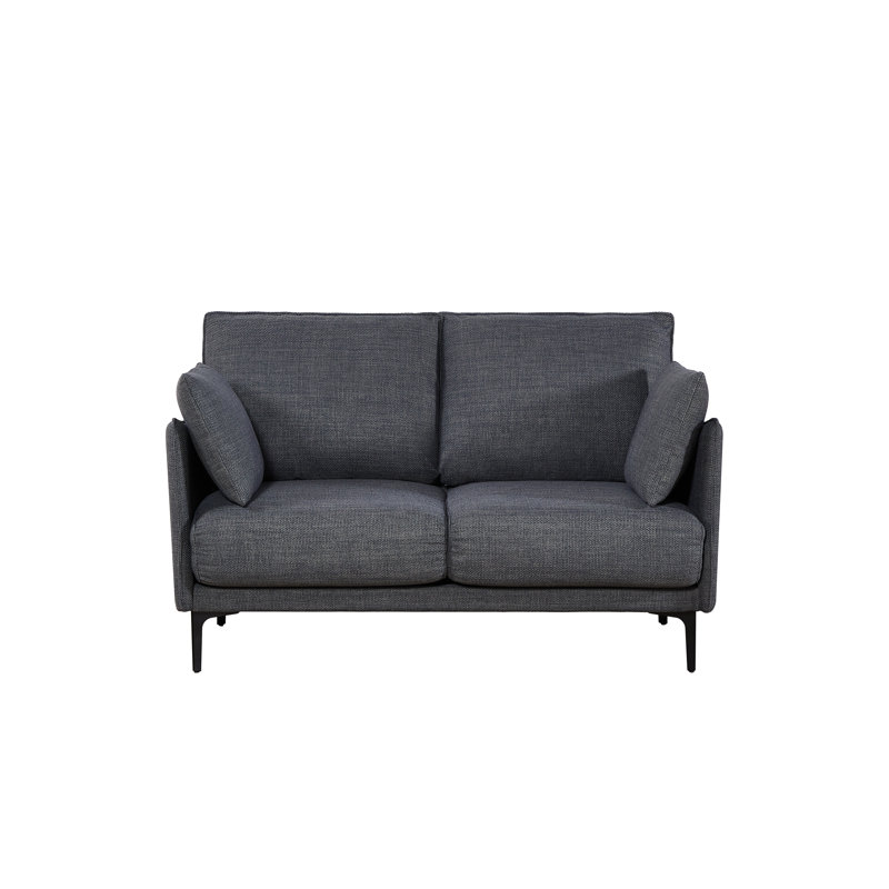 Canapé confortable à 2 places avec 2 coussins et pieds en métal, idéal pour l'espace de vie principal, la chambre à coucher et le bureau