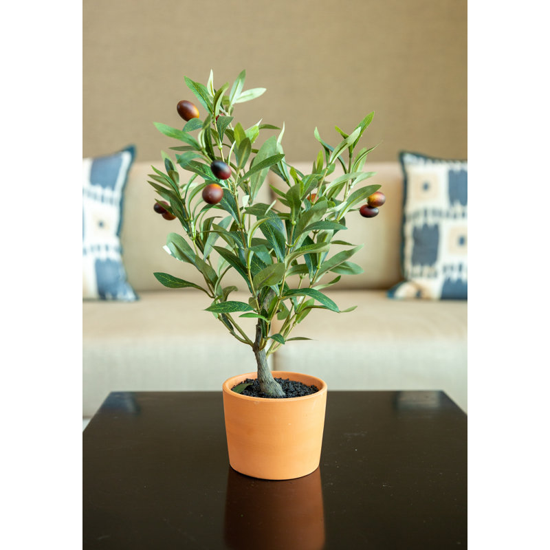 18'' Faux Olive Tree Tree in Terracotta Pot