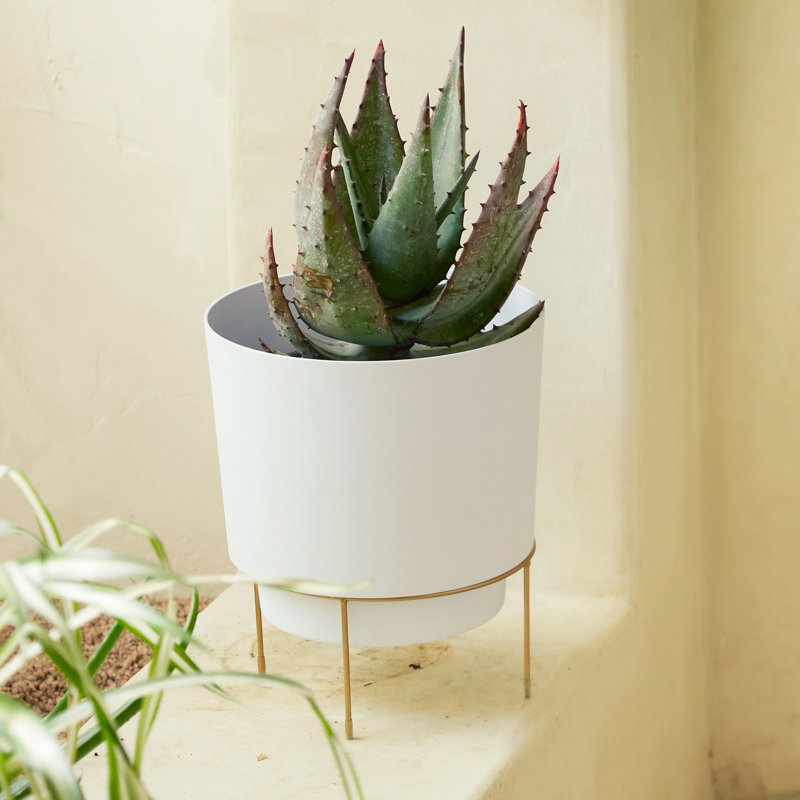 Pot à fleurs en résine Ebern, H 12 po x l 10 po x P 10 po, Blanc