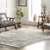 Akimitsu Southwestern Gray Area Rug