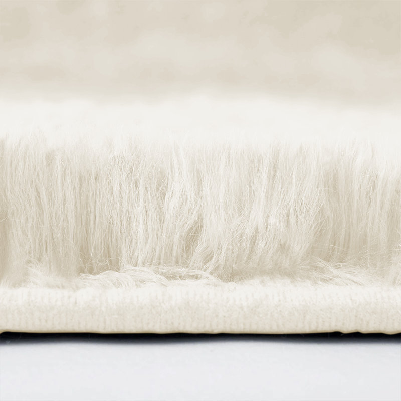 Machine Tufted High Pile Shag Area Rug(Ultra Soft & Fluffy), Rectangle 120 x 170 cm, Cream