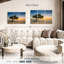 Arbre Aruba Divi Divi-107949833