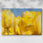 Toile tendue I-Gallery jaune soleil-1928397088