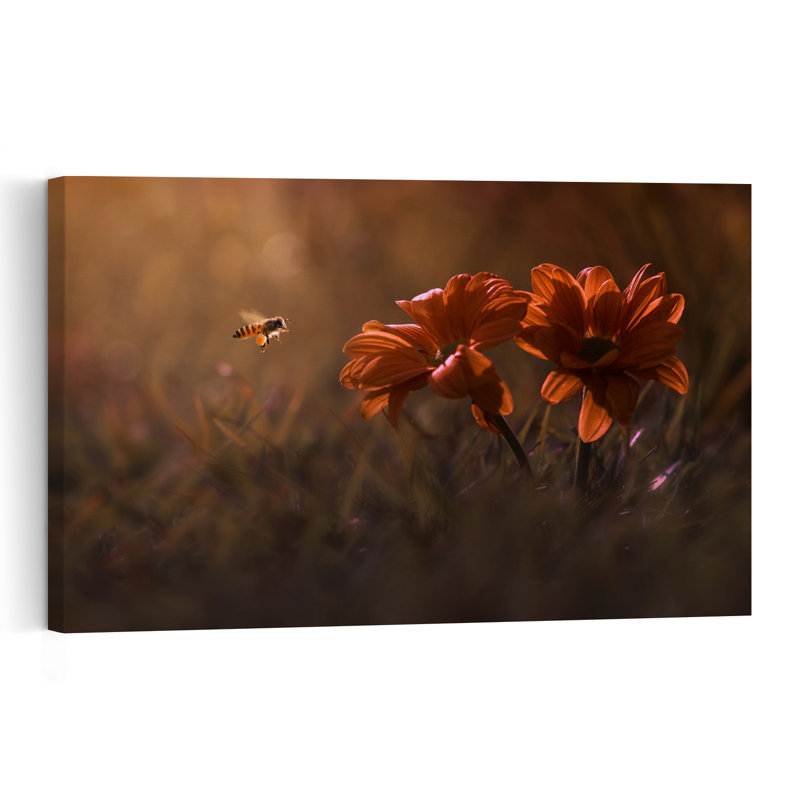 Affiche murale nature « Abeille pollinisatrice à l'heure dorée », H 24 po x l 36 po