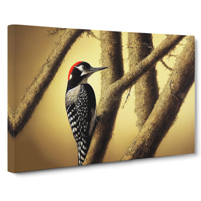 Handsome Woodpecker Bird - Wrapped Canvas