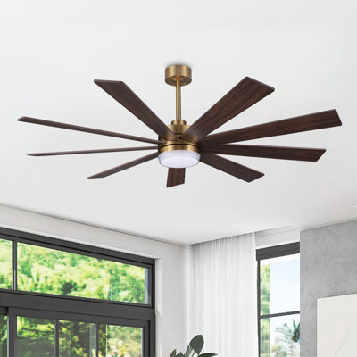 Babrak 65'' Ceiling Fan with LED Lights