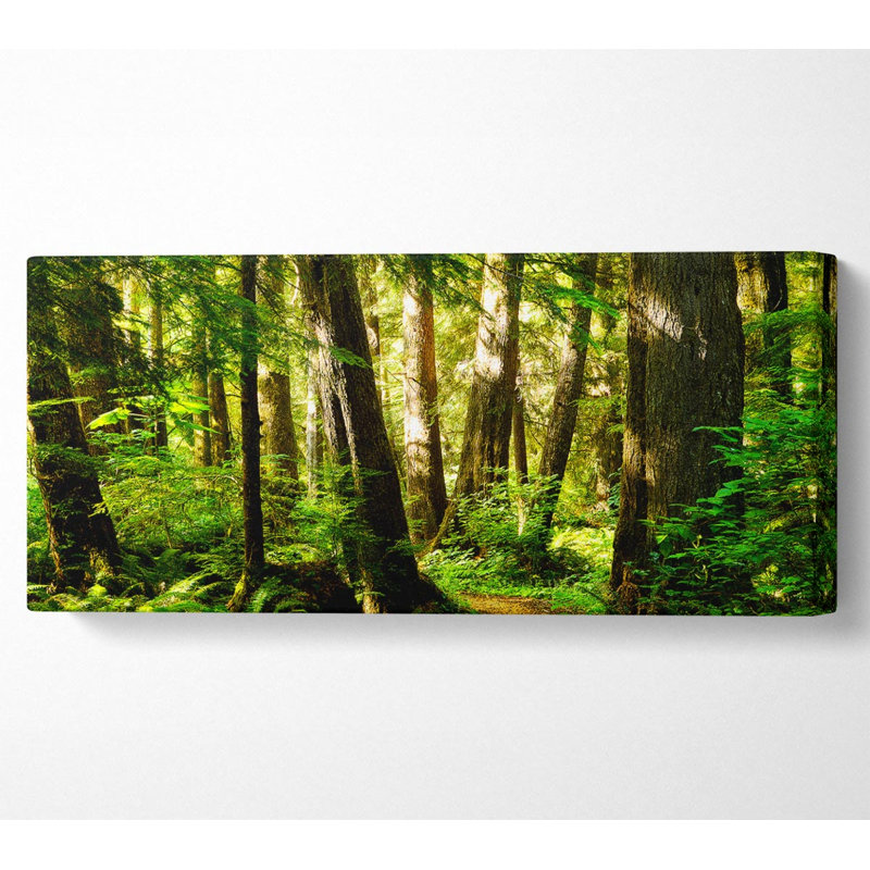 Union Rustic Sunbeam Woodland - Wrapped Canvas Art Prints | Wayfair.co.uk