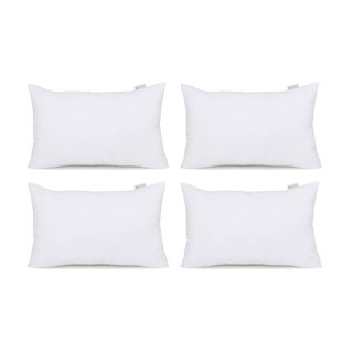 Insert de coussin (Ensemble de 4)