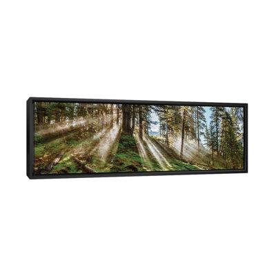 " Forest Landscape, Alaska, USA " by Panoramic Images