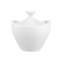 Latitude Run Saldivar 1ml Solid Colour Teapot