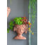 Classical 8x4x9 Inch Visage Head Bust Planter, Brown - Perfect for Indoor and Outdoor Garden Decor