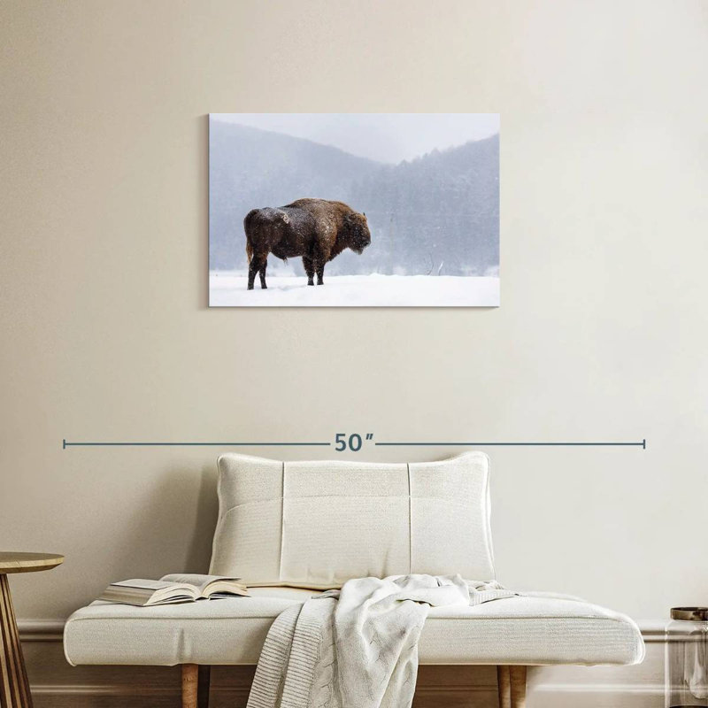 Brampt Romanian Bison, 20" H x 30" W