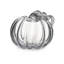 Pumpkin with a Twist-51720776