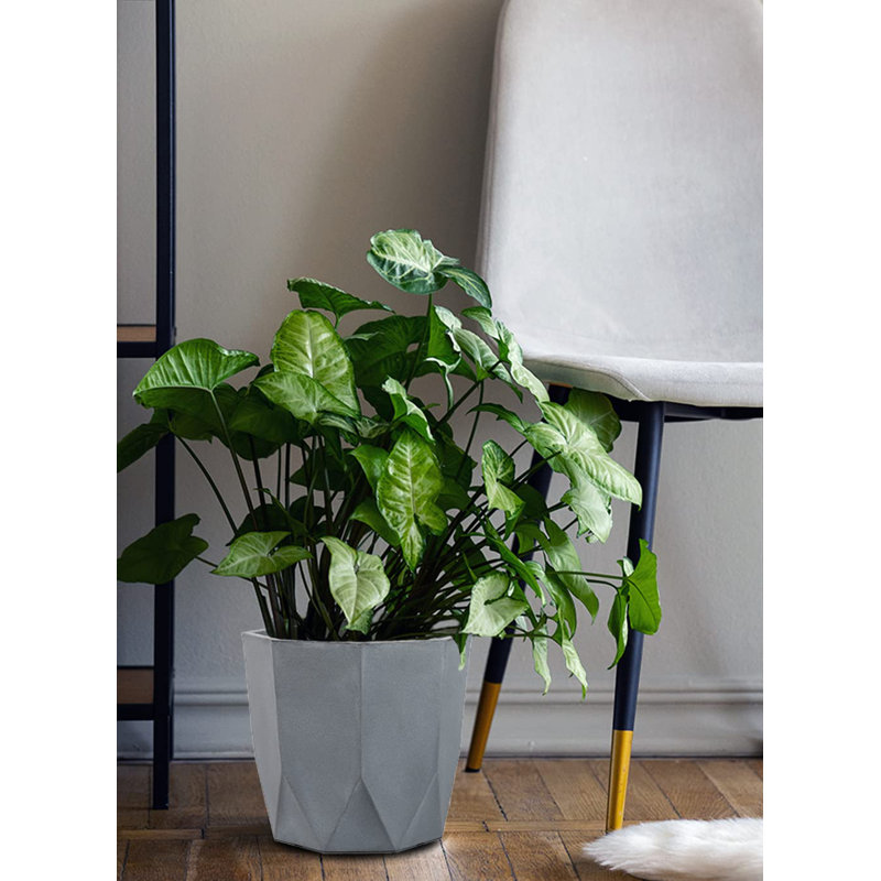 Dennette Pot Planter