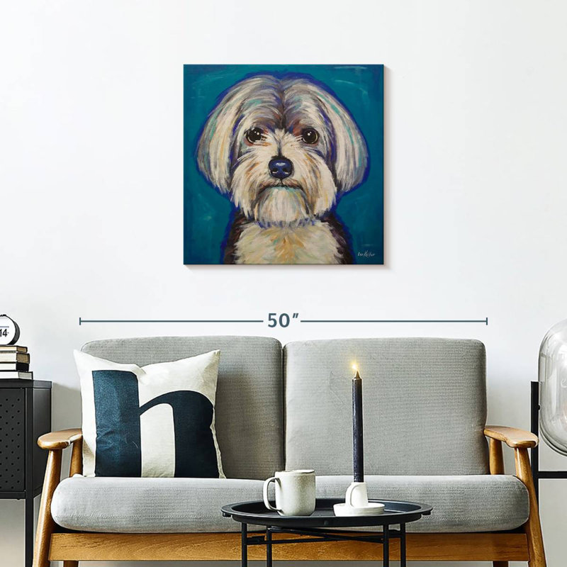 Crowle Maltese Yorkie