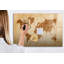 Magnetic Glass Dry Erase Board