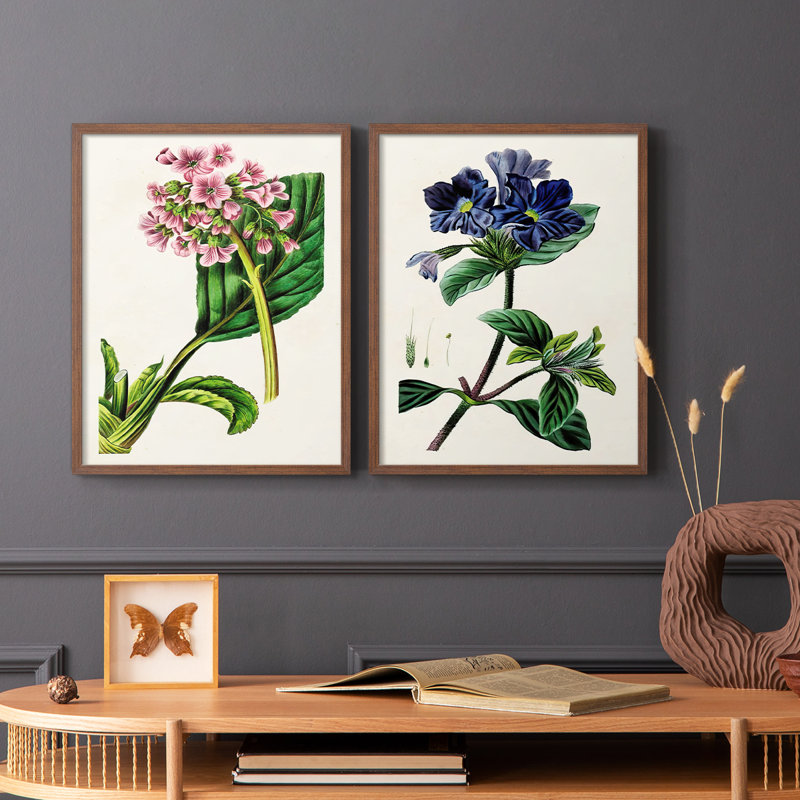 AntiqueFloralFolioIII-Premium Framed Print -Ready to Hang - No Nails Required - No Nails Required, 15" H x 24" W, Walnut