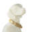 Bralin Polystone Sitting Dog Decorative Cream Sculpture with Gold Collar