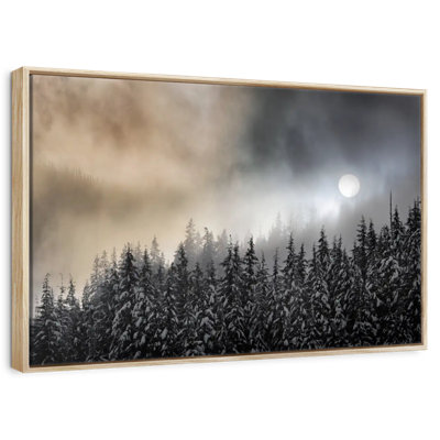 Brume d'hiver