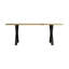 Babita Metal Base Dining Table