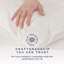 Retreat Cotton Cover Soft Support Pillow