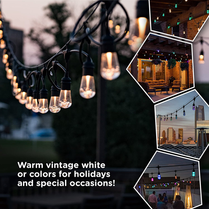 24ft Black Outdoor Color-Changing Acrylic LED String Lights