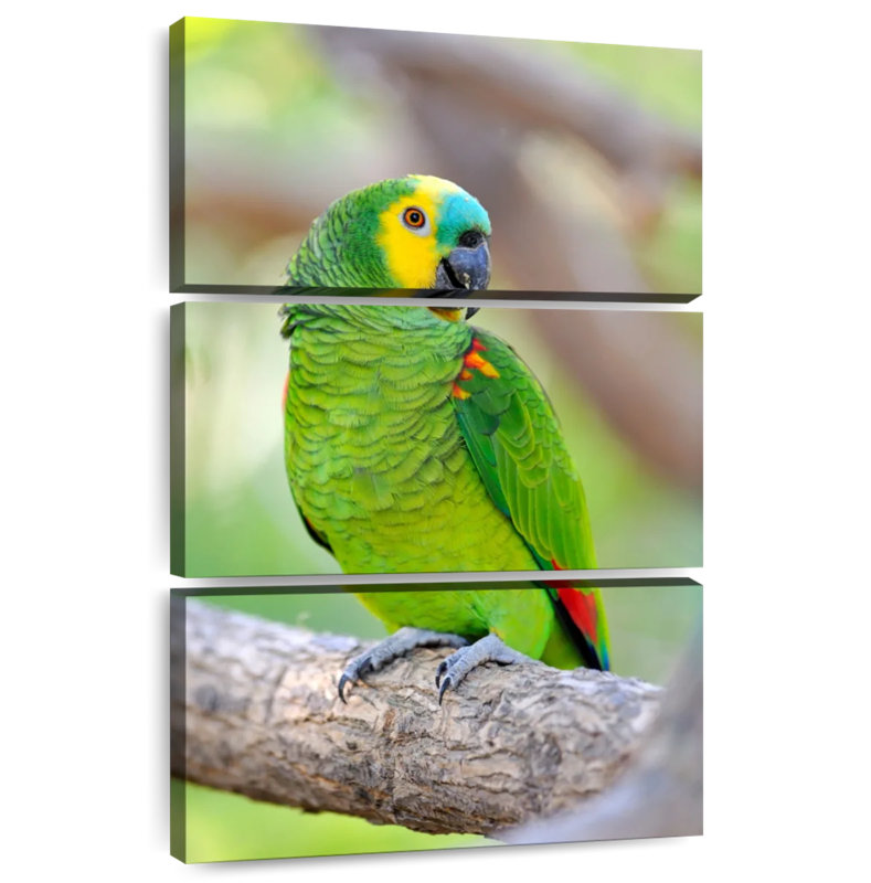 Brampt Turquoise-Fronted Amazon Bird, 38" H x 24" W