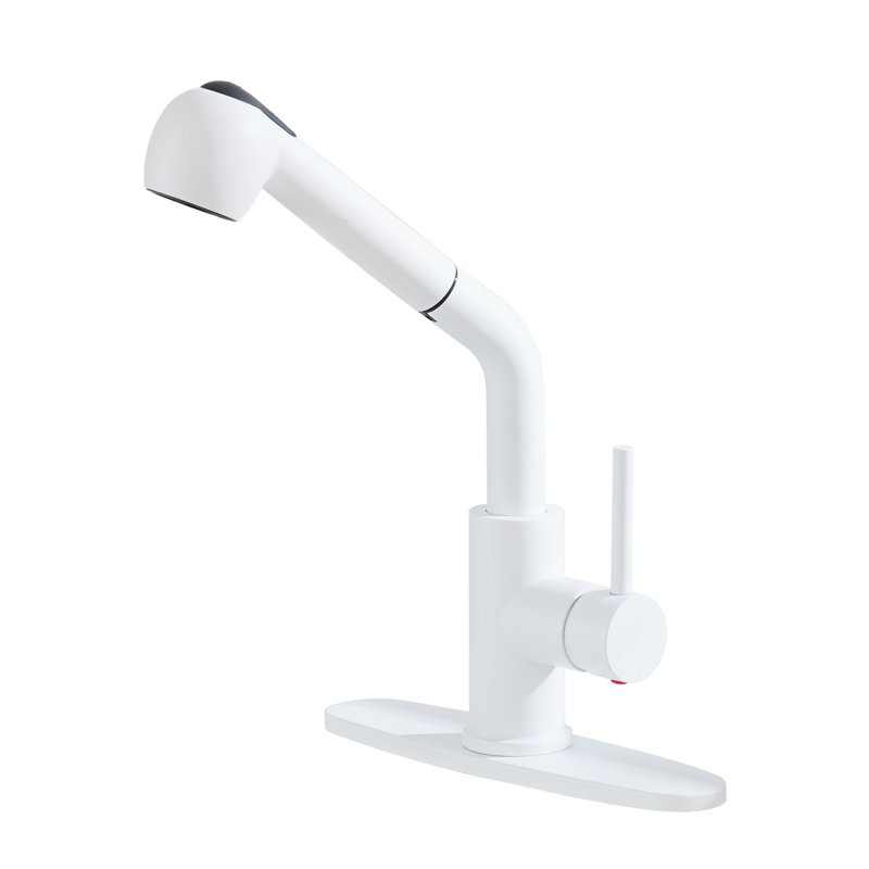 Mondawe Pull Out Kitchen Faucet