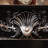 Black Solid + Manufactured Wood Electric Fireplace