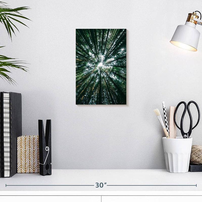Harnek Pine Tree Grove, 12" H x 8" W