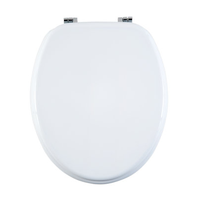 Oval Hard Toilet Seat