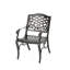 chaise avec accoudoirs Phoenix (ensemble de 2)