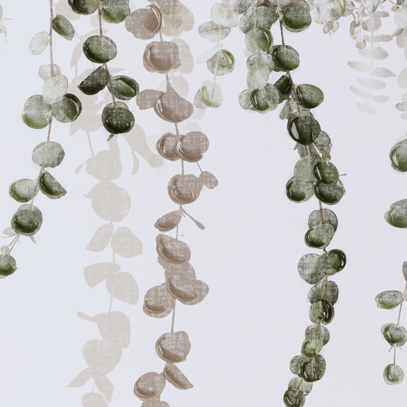 Eucalyptus, art encadré pour le couloir